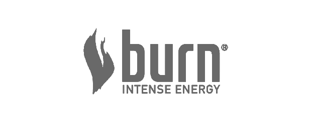 Logo Burn gris